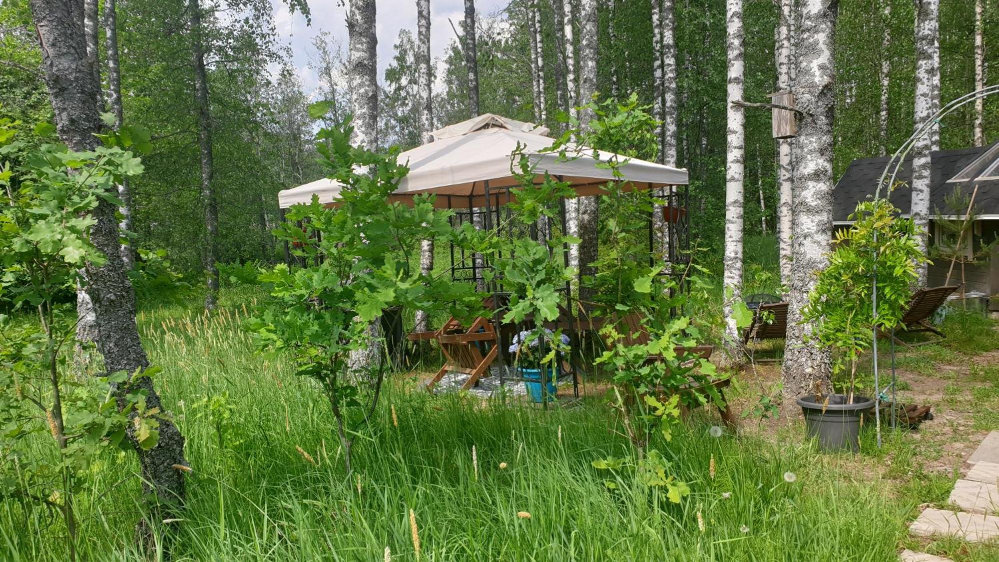 Troll House Eco-Cottage, Nuuksio For Nature Lovers, Petfriendly Espoo Extérieur photo